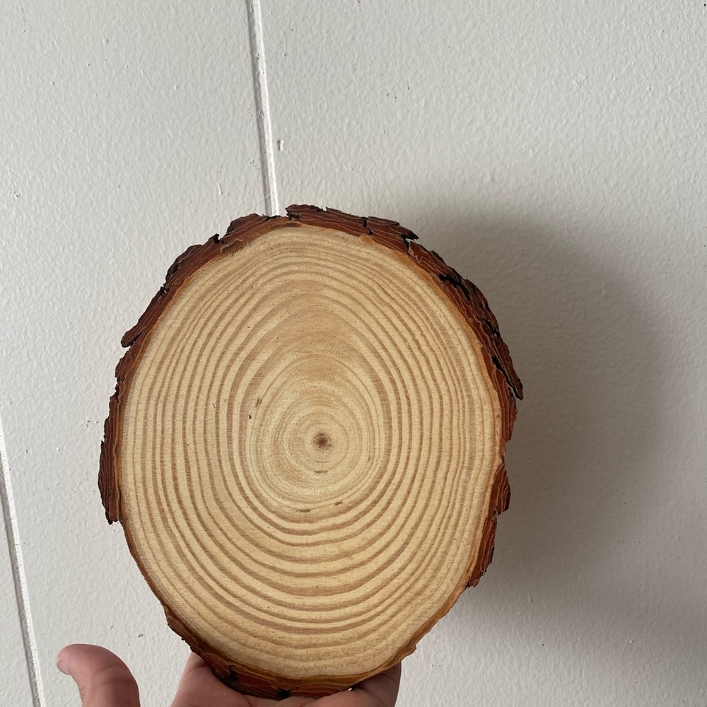 Natural Wood Slice Decor